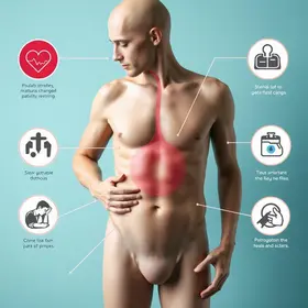 Prostatite sintomas: sinais, causas e quando procurar atendimento