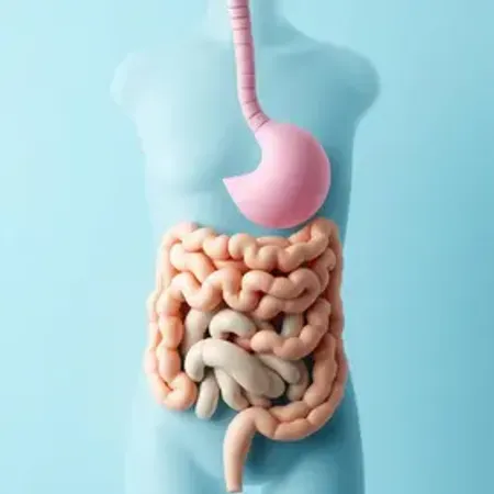 Síndrome do intestino irritável sintomas: sinais, causas e quando procurar atendimento