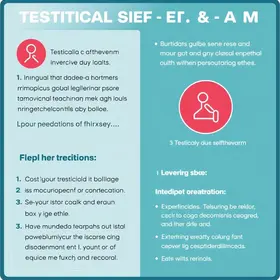 Autoexame testicular como fazer: passo a passo seguro e cuidados importantes